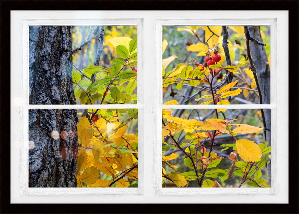 Impression de cadre personnalisé