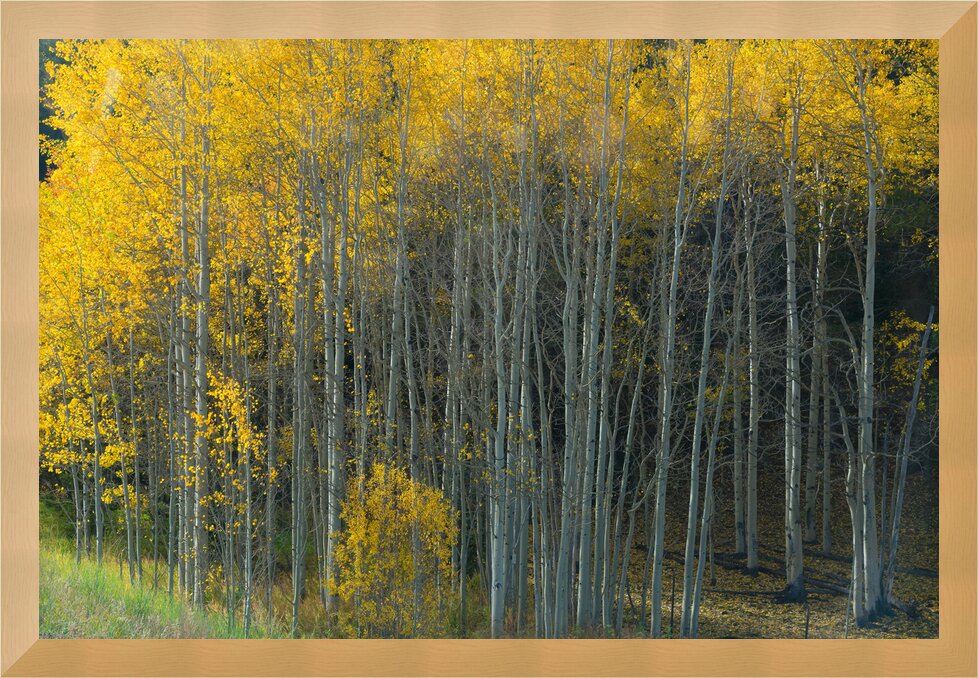 Impression de cadre personnalisé