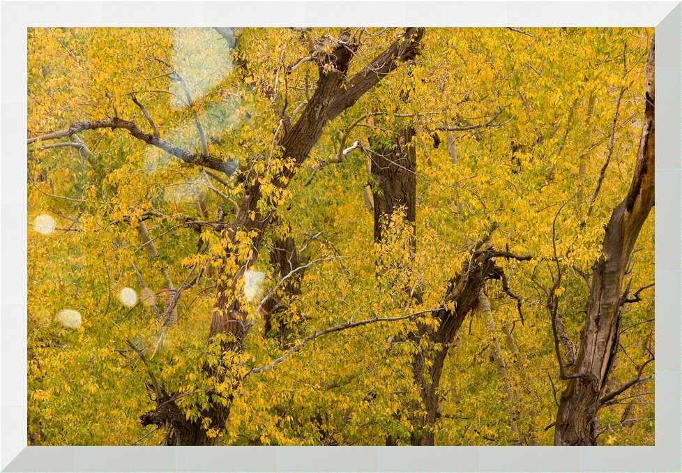 Impression de cadre personnalisé