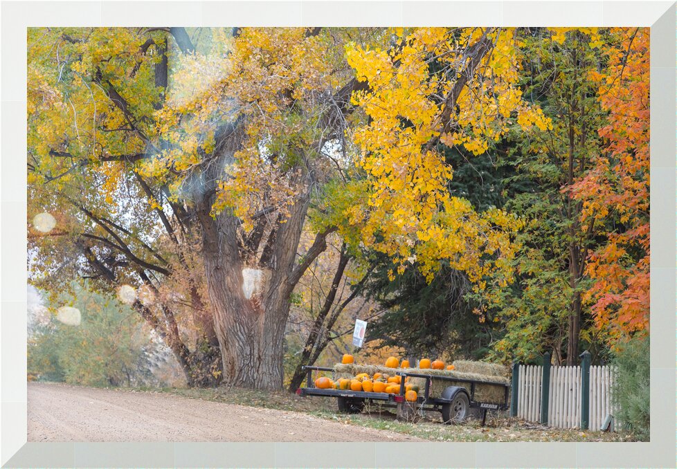 Impression de cadre personnalisé