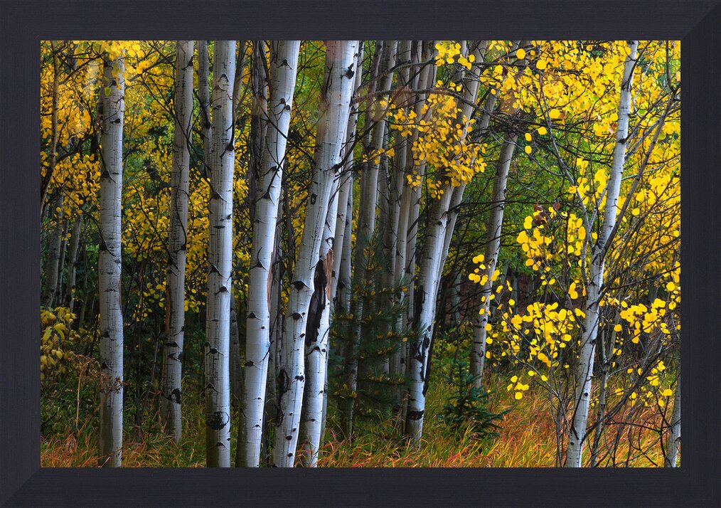 Impression de cadre personnalisé