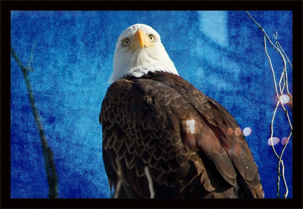 Impression de cadre personnalisé