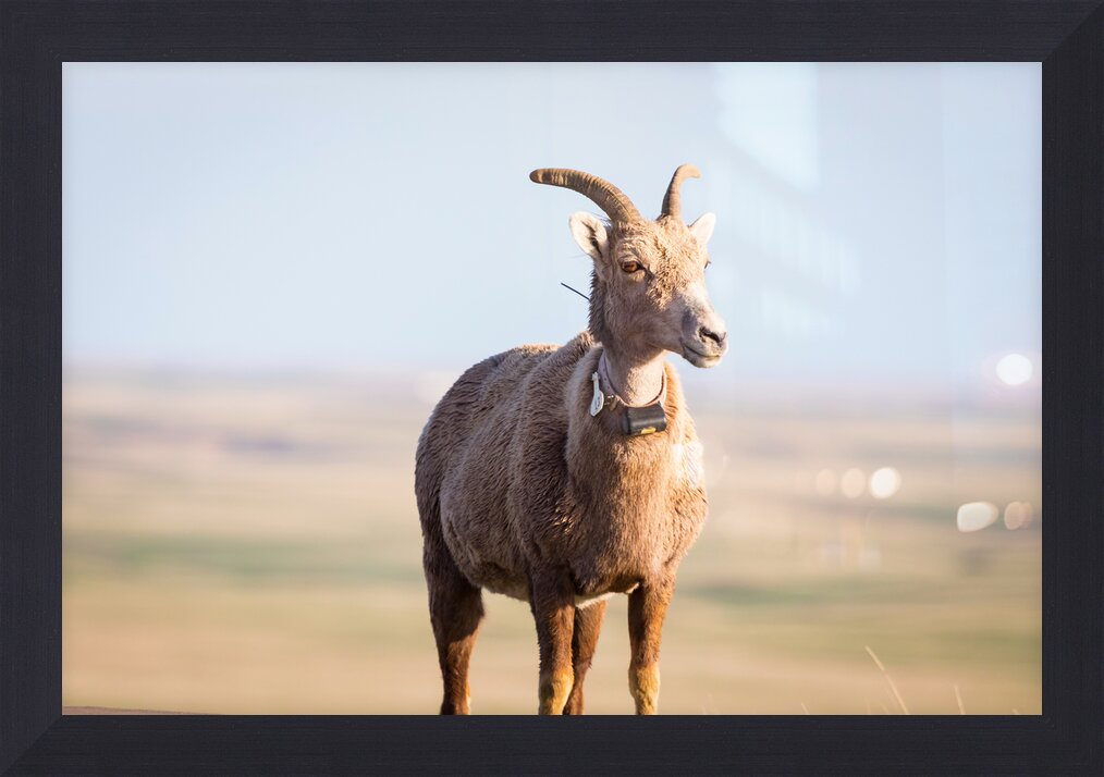Impression de cadre personnalisé