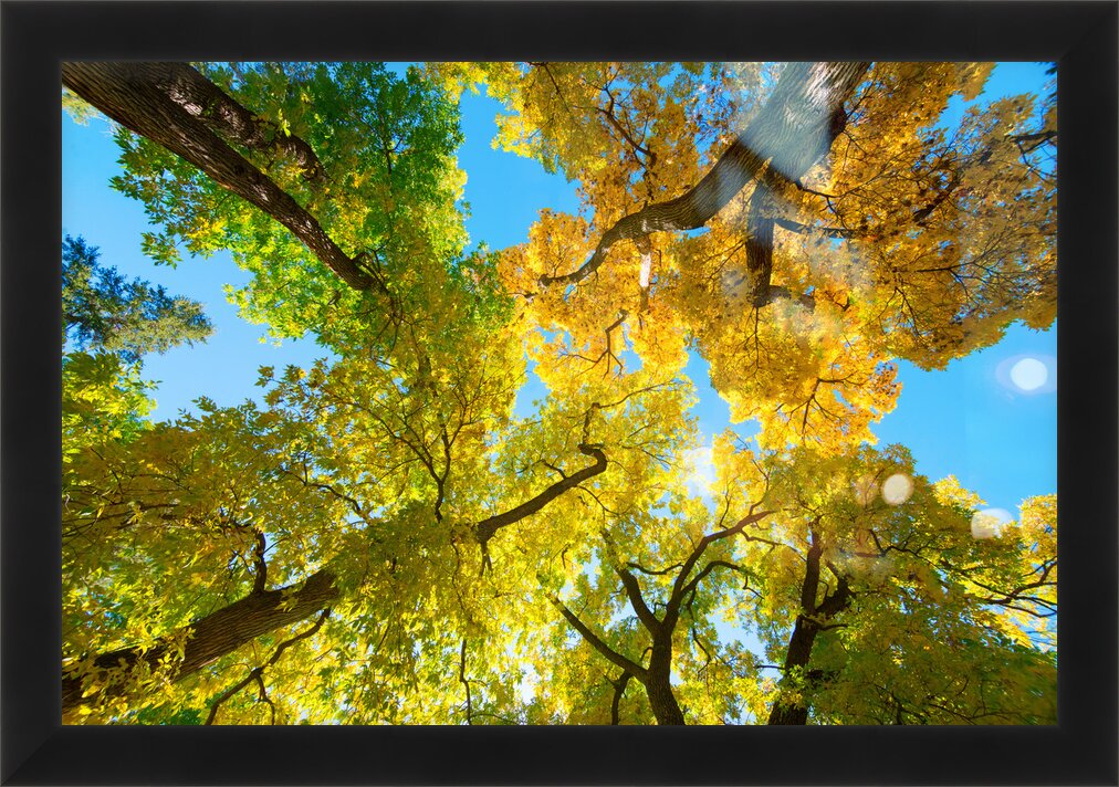 Impression de cadre personnalisé