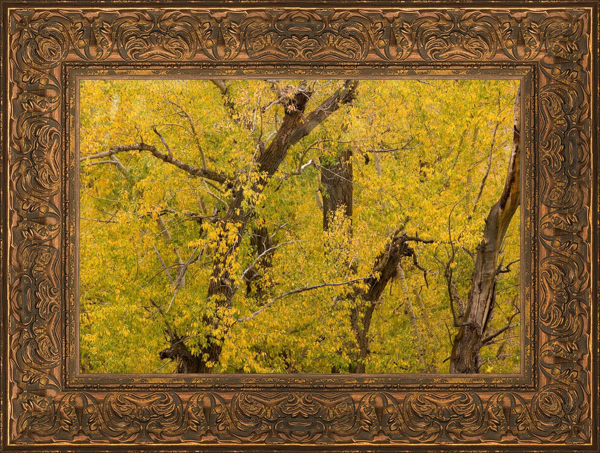 Impression de cadre personnalisé