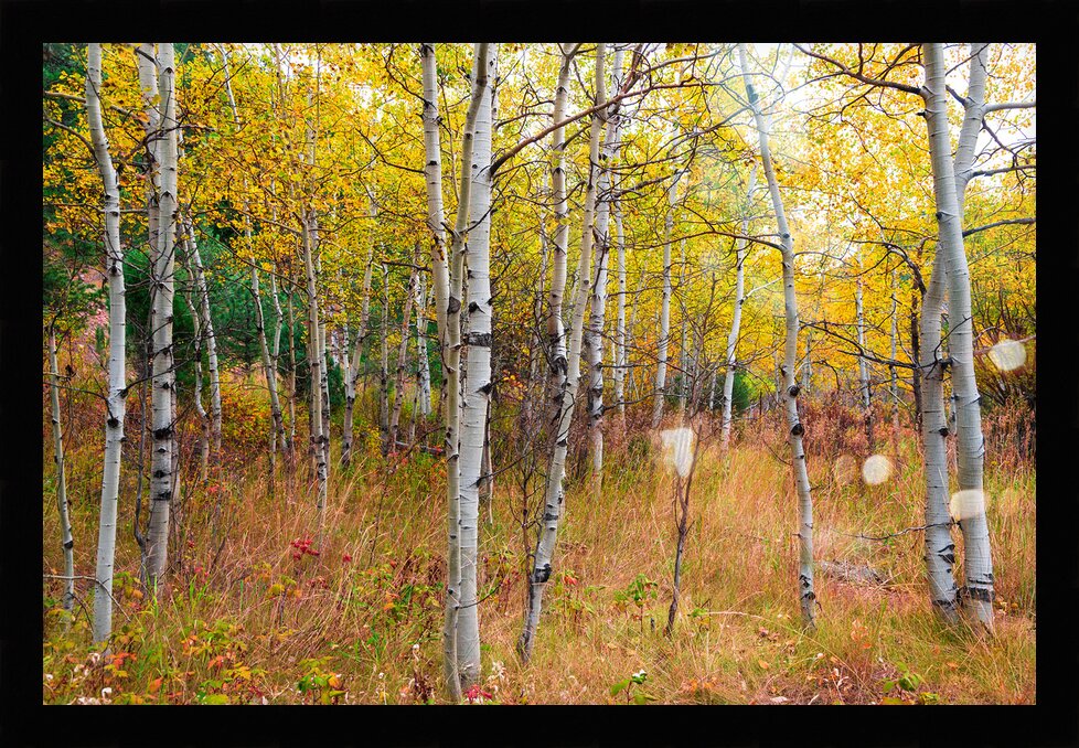 Impression de cadre personnalisé