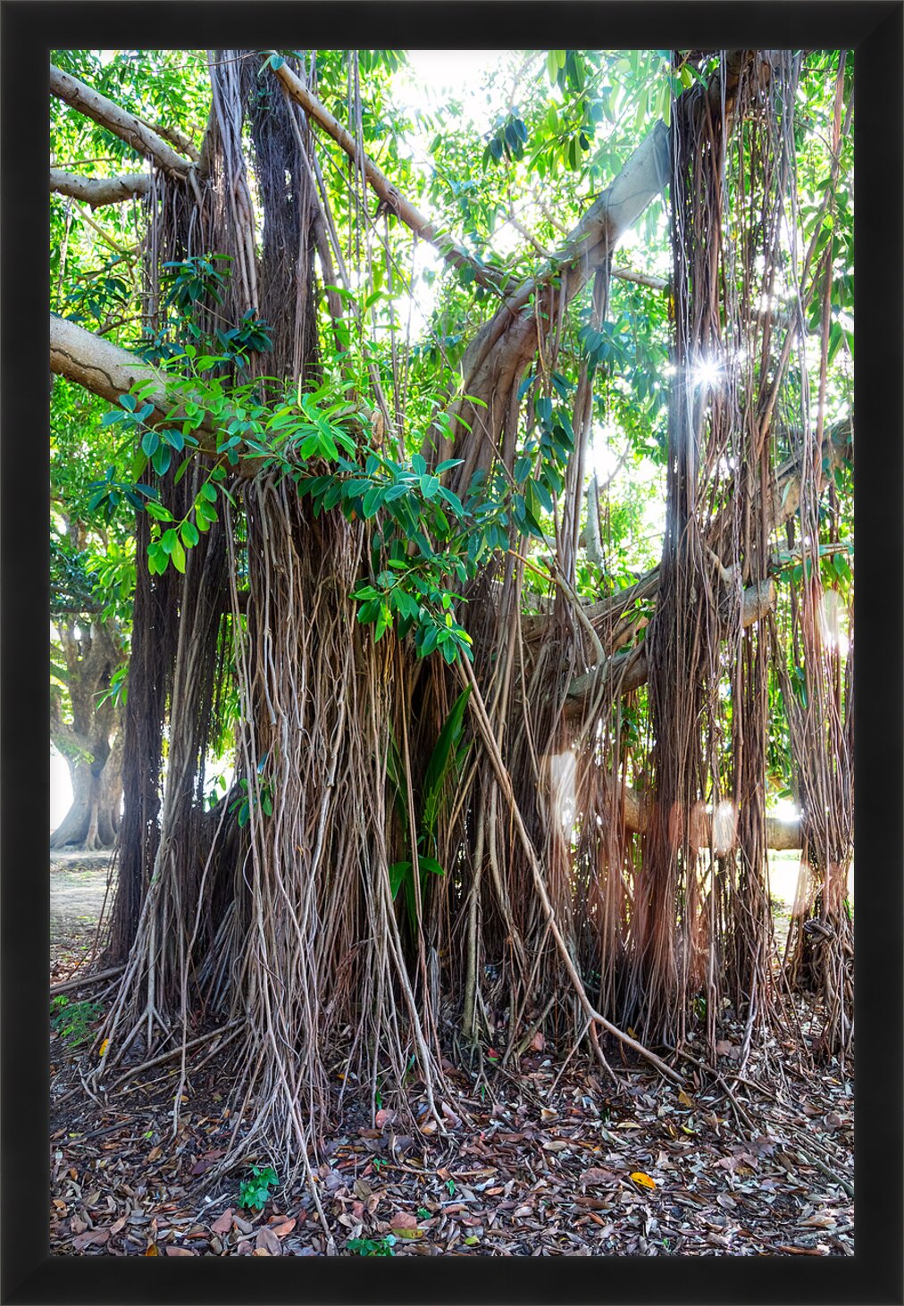 Impression de cadre personnalisé