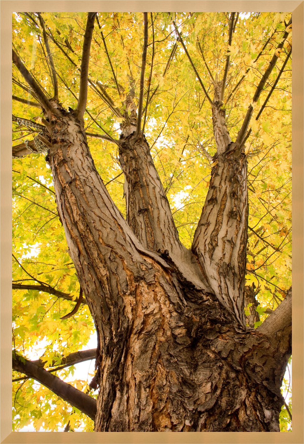 Impression de cadre personnalisé