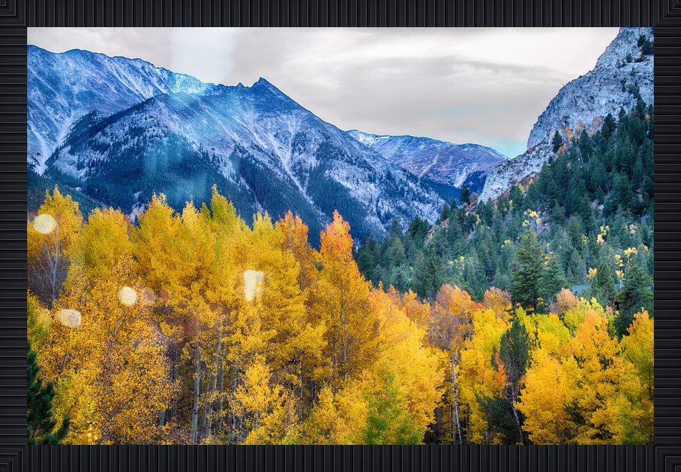 Impression de cadre personnalisé