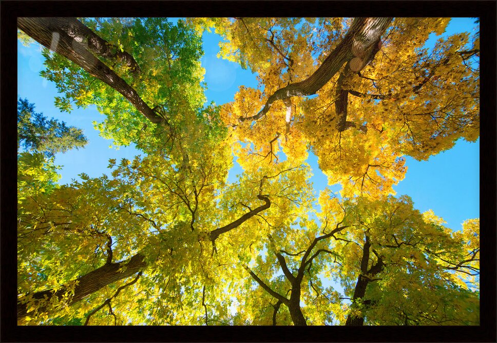 Impression de cadre personnalisé