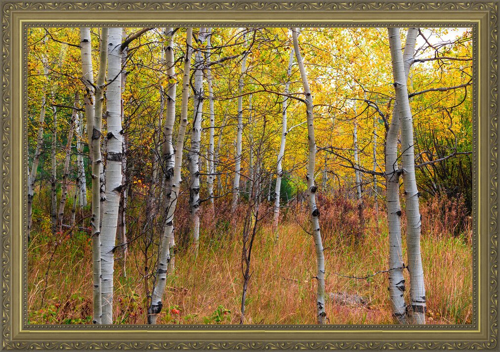 Impression de cadre personnalisé