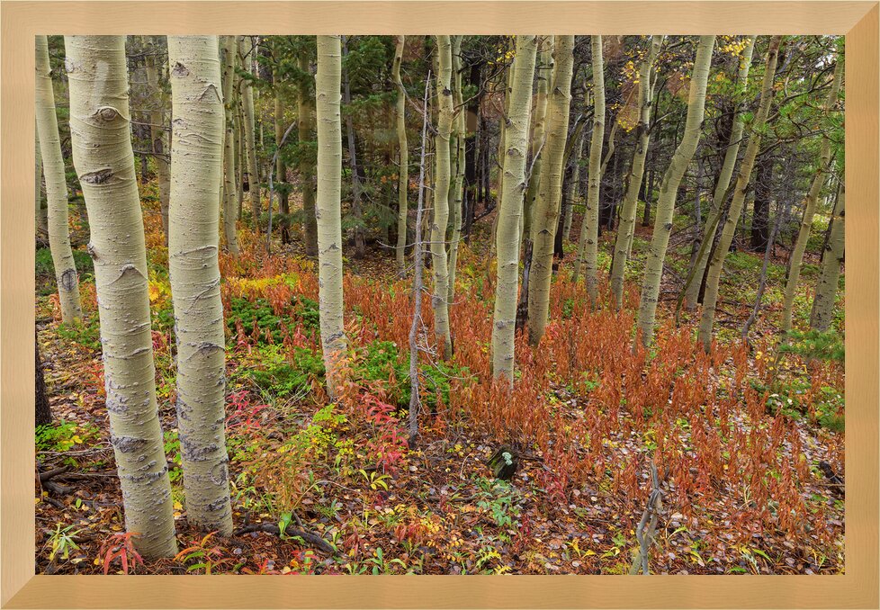 Impression de cadre personnalisé