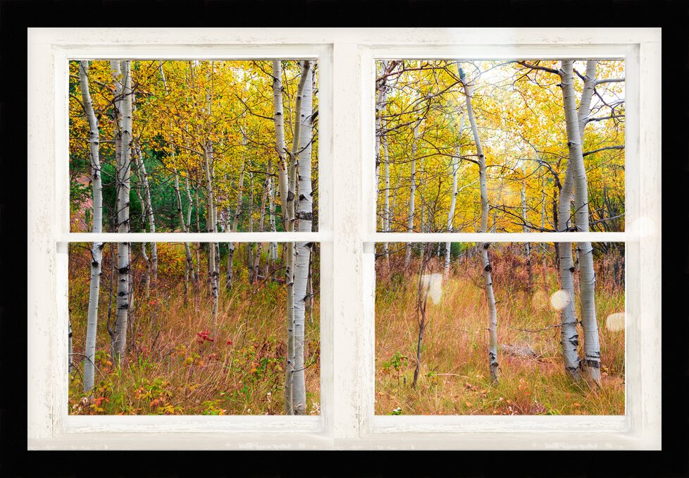 Impression de cadre personnalisé