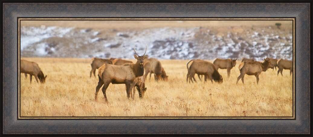 Impression de cadre personnalisé