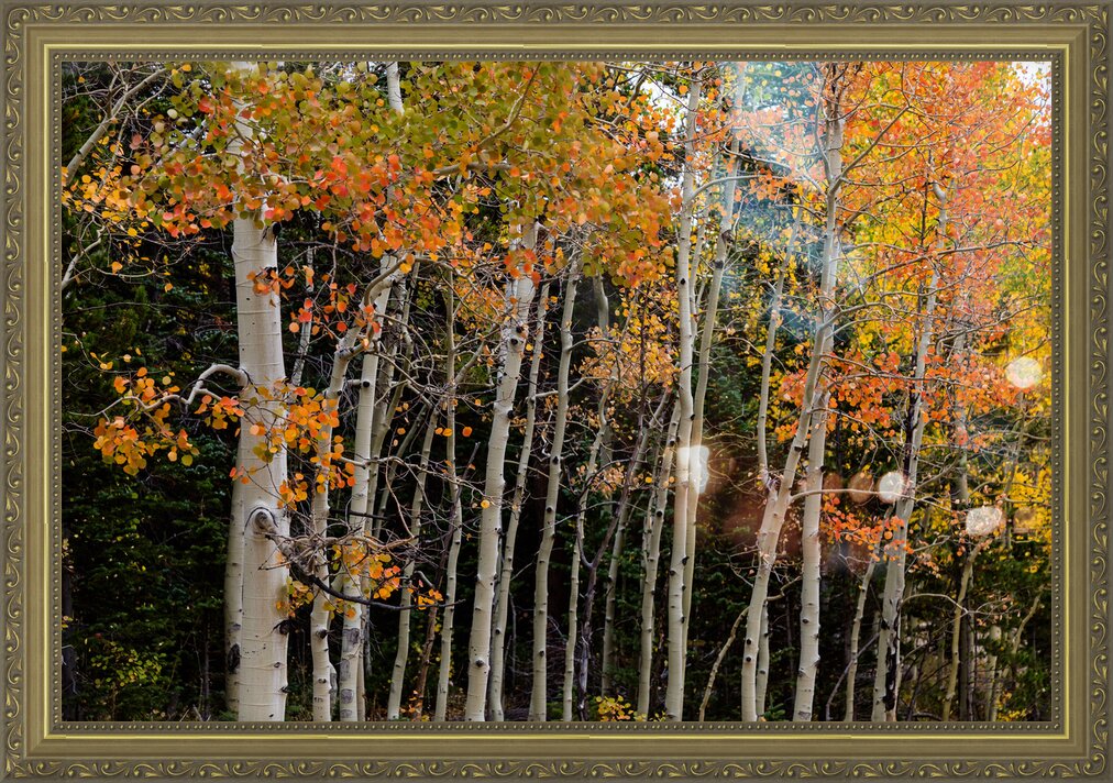 Impression de cadre personnalisé