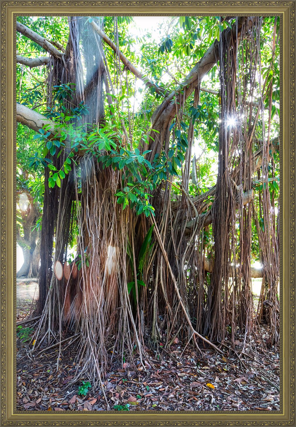 Impression de cadre personnalisé