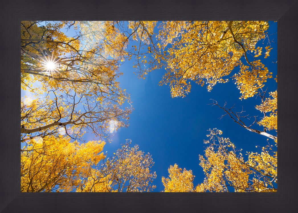 Impression de cadre personnalisé