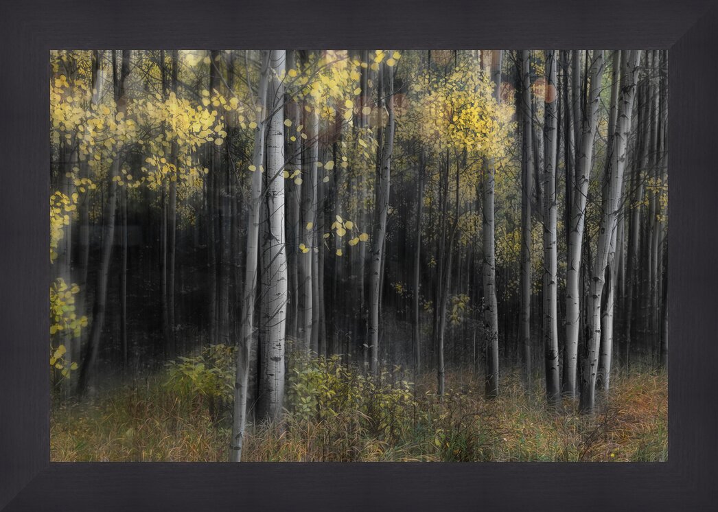 Impression de cadre personnalisé