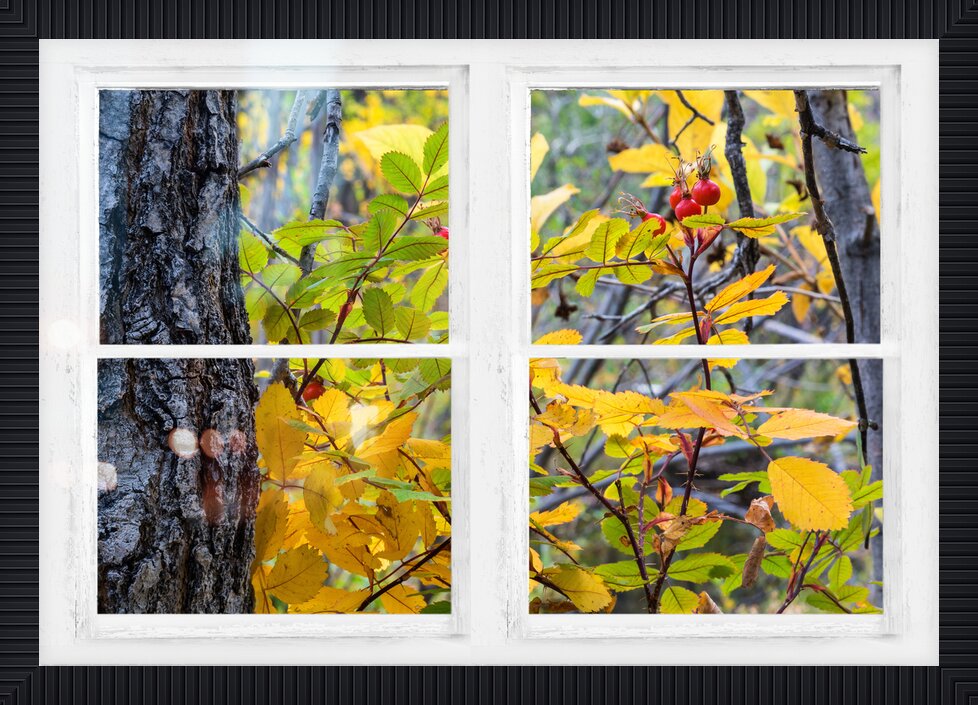 Impression de cadre personnalisé