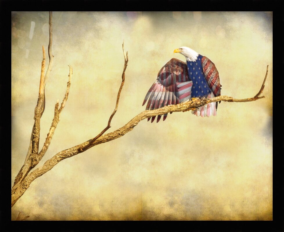 Impression de cadre personnalisé