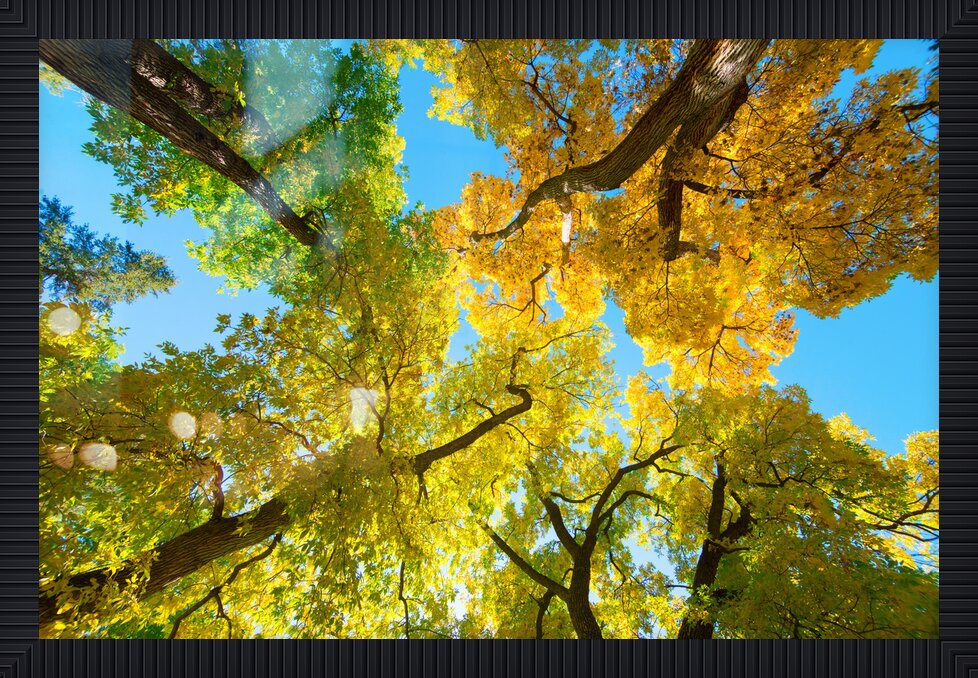 Impression de cadre personnalisé