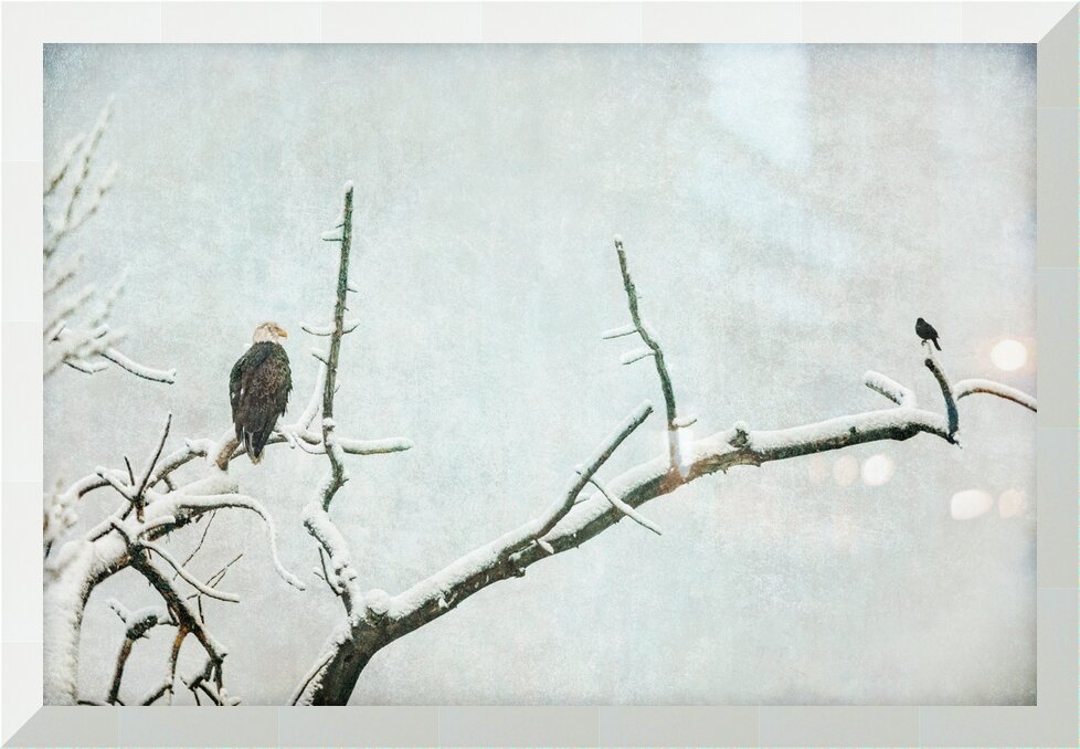 Impression de cadre personnalisé