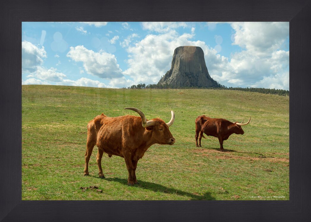 Impression de cadre personnalisé