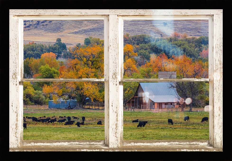 Impression de cadre personnalisé