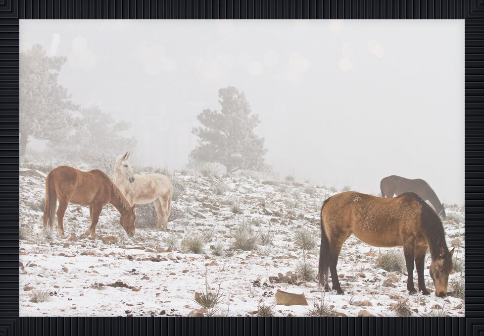 Impression de cadre personnalisé