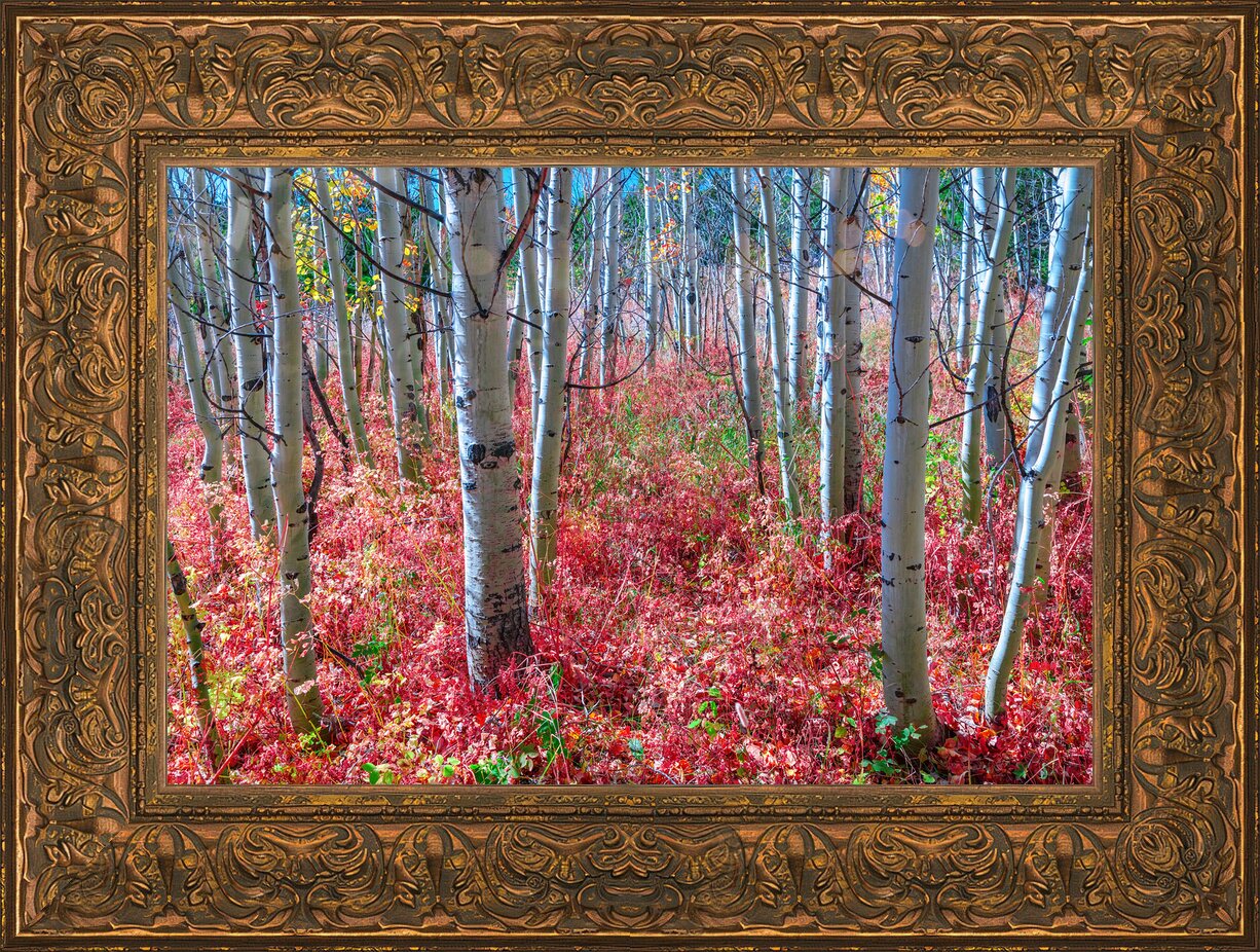 Impression de cadre personnalisé