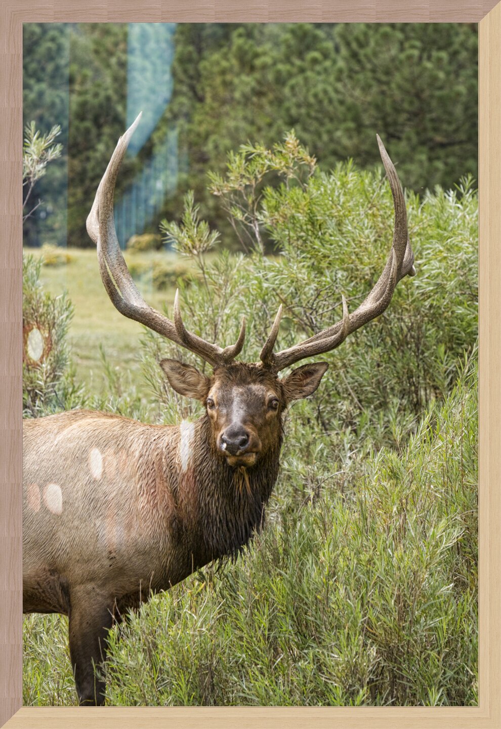 Impression de cadre personnalisé
