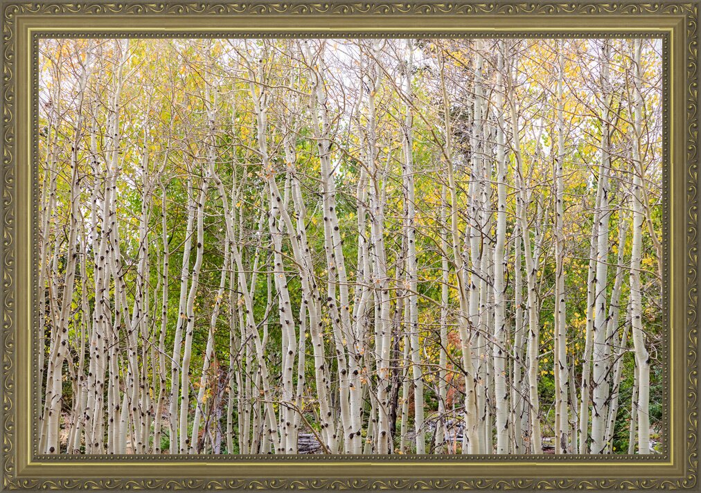 Impression de cadre personnalisé