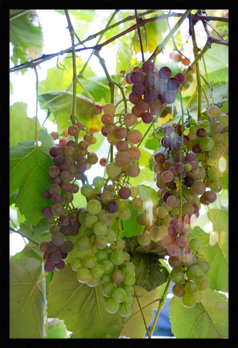 Impression de cadre personnalisé