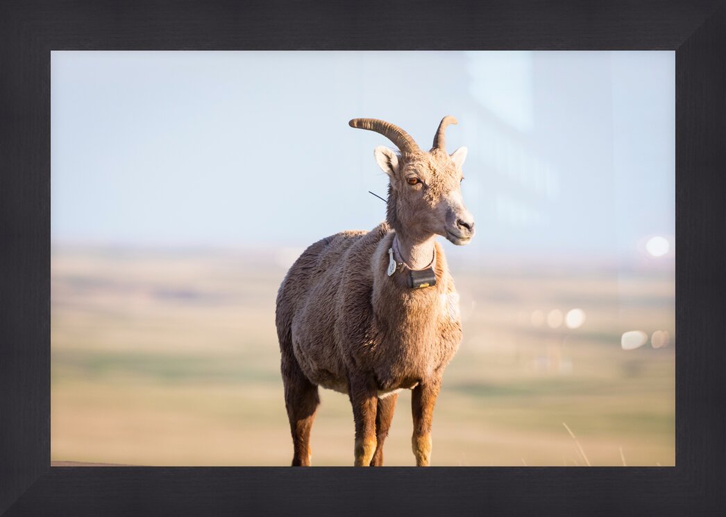 Impression de cadre personnalisé