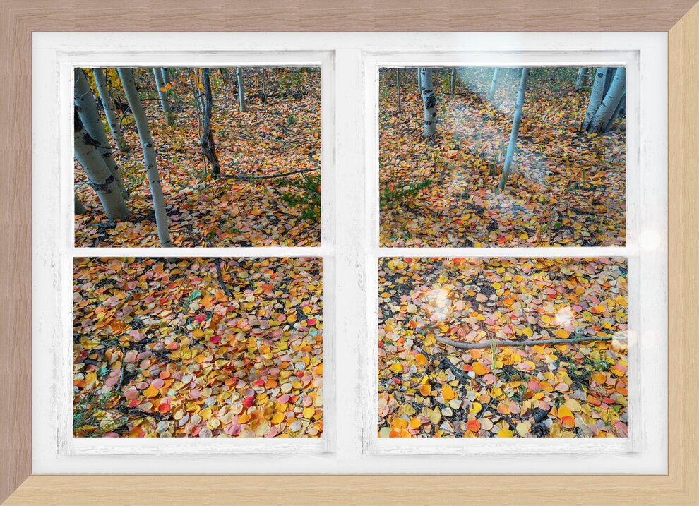 Impression de cadre personnalisé