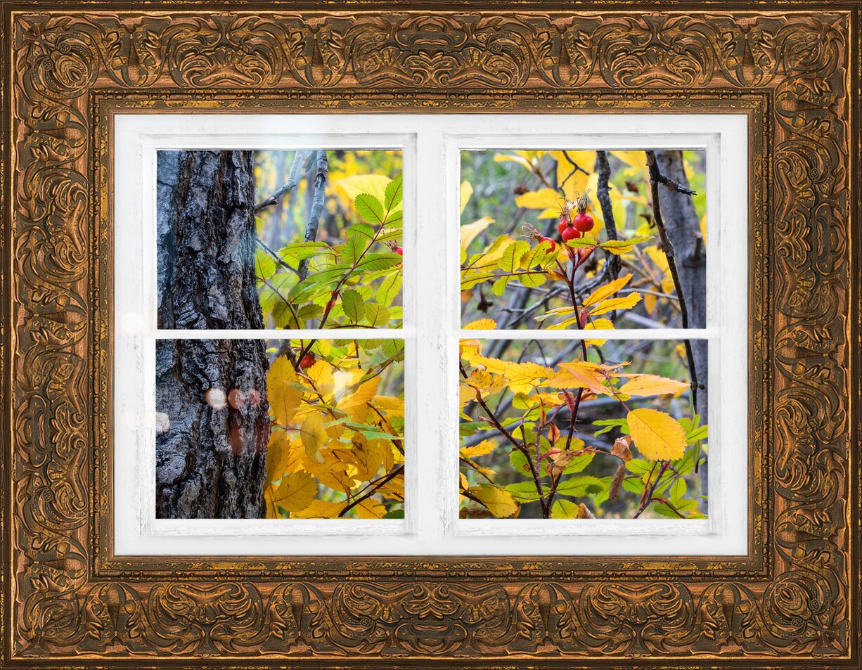 Impression de cadre personnalisé