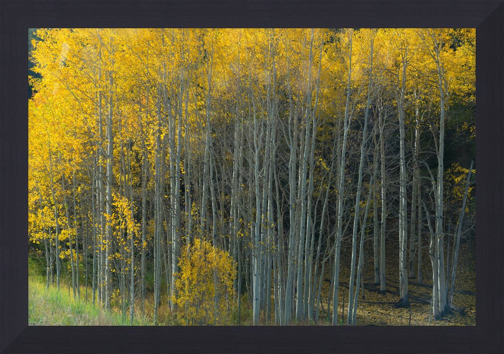 Impression de cadre personnalisé