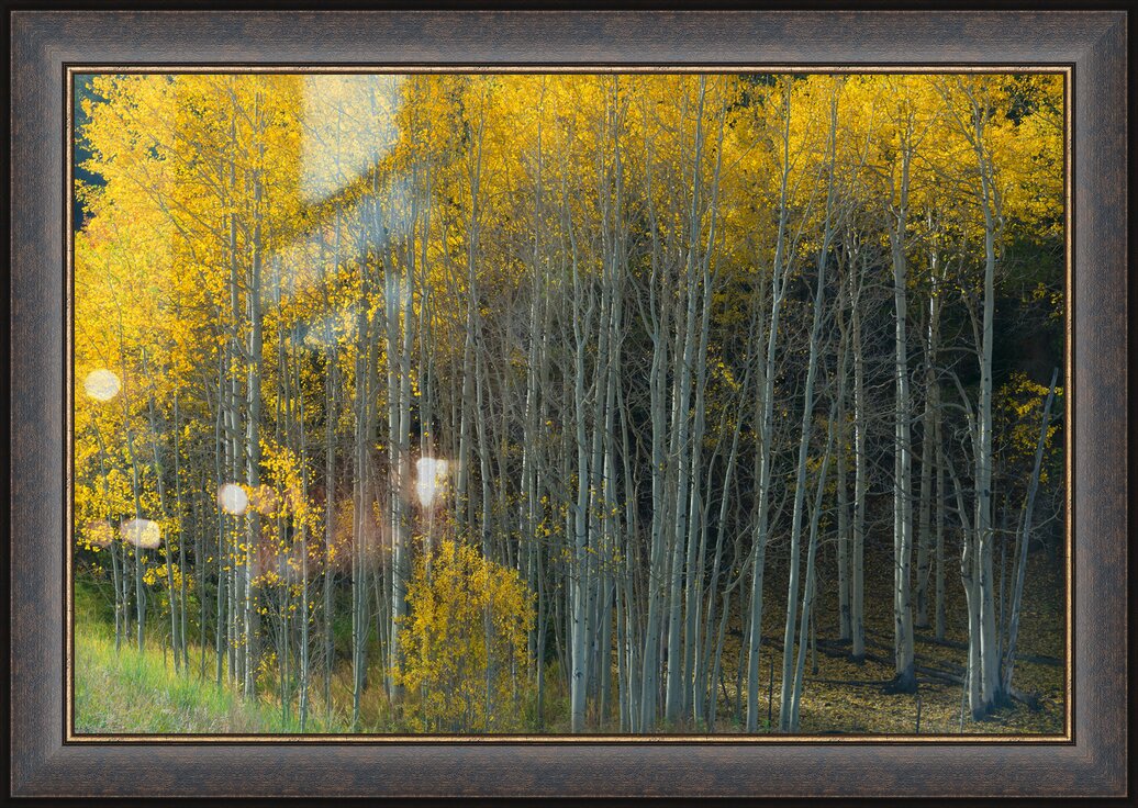 Impression de cadre personnalisé