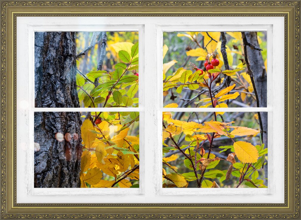 Impression de cadre personnalisé