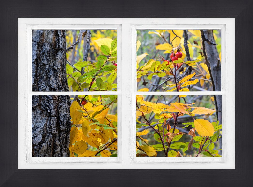 Impression de cadre personnalisé