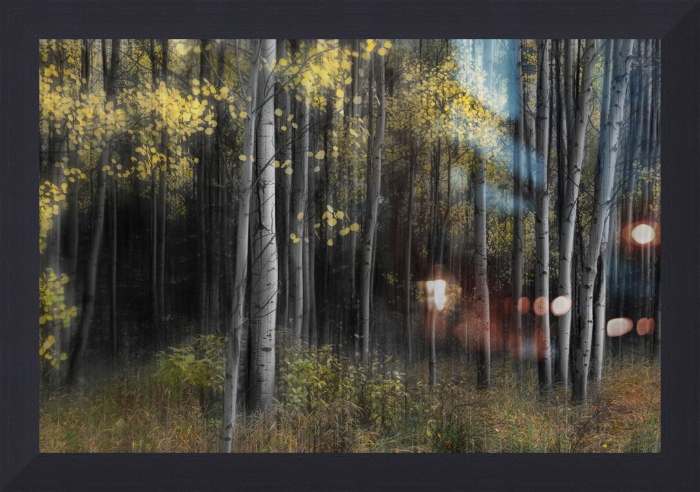 Impression de cadre personnalisé