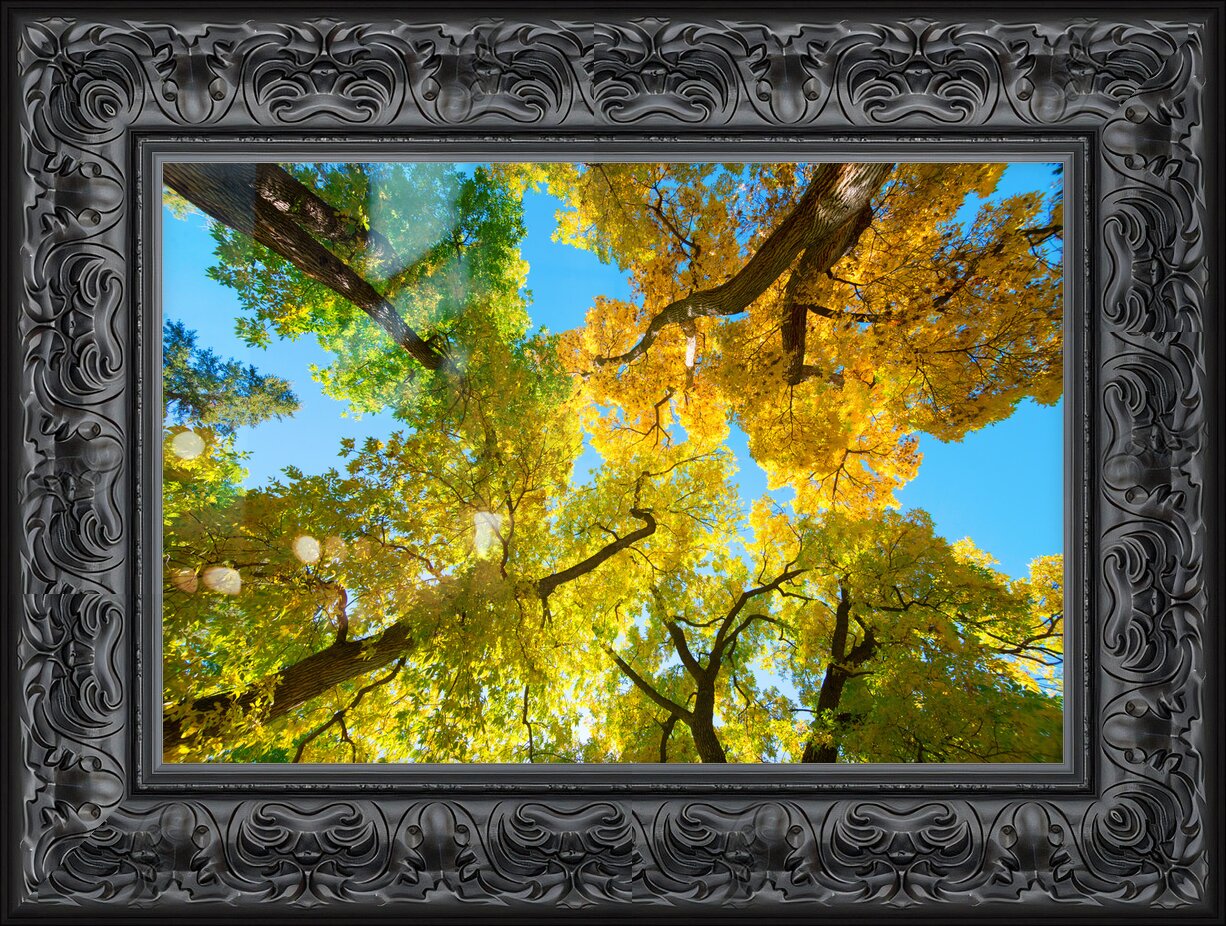 Impression de cadre personnalisé