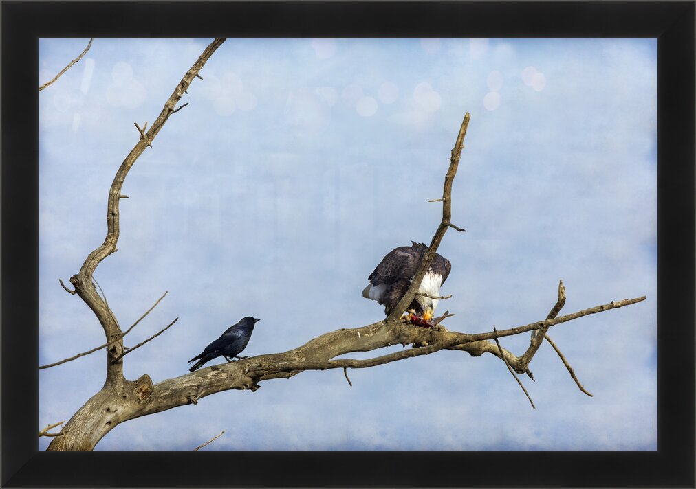 Impression de cadre personnalisé