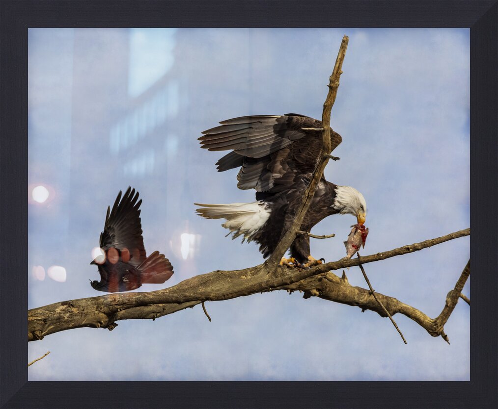 Impression de cadre personnalisé