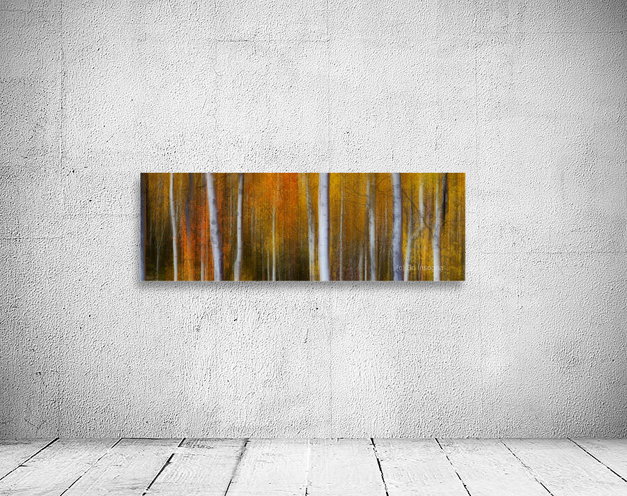 Forest Color Burst Modern Abstract Wall Preview