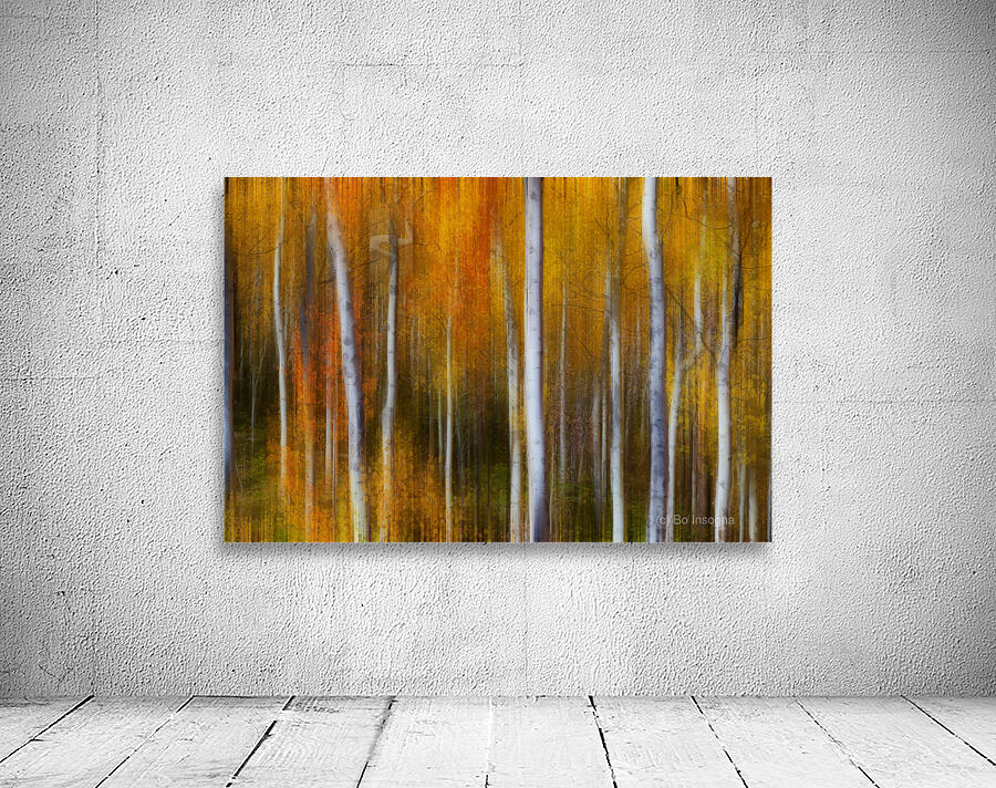 Forest Color Burst Modern Abstract Wall Preview