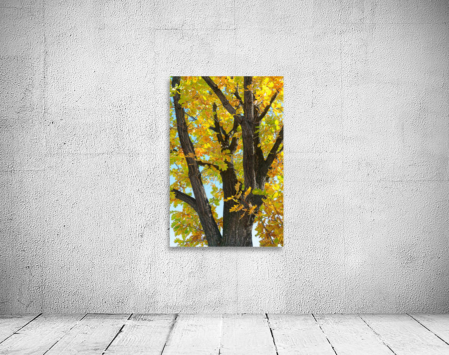 Some Un be leaf able Fall Vibes Wall Preview