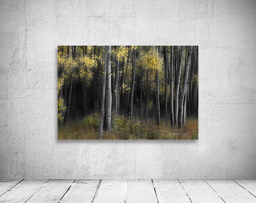 Misty Aspen Grove Wall Preview