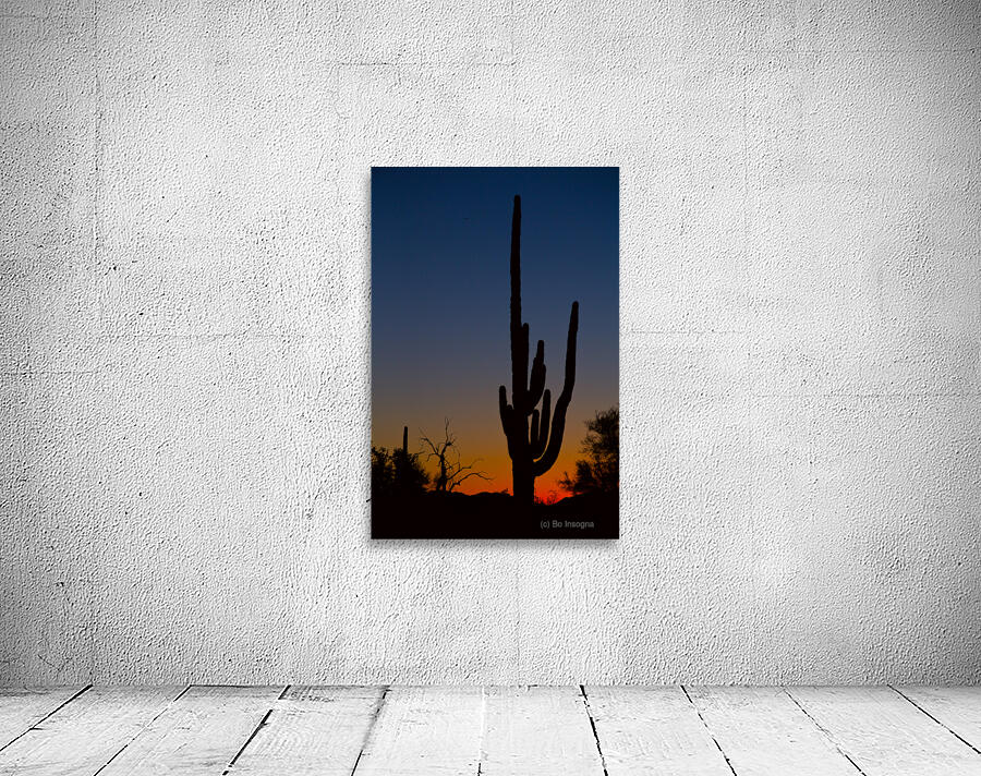 Sonoran Desert Sunrise Wall Preview