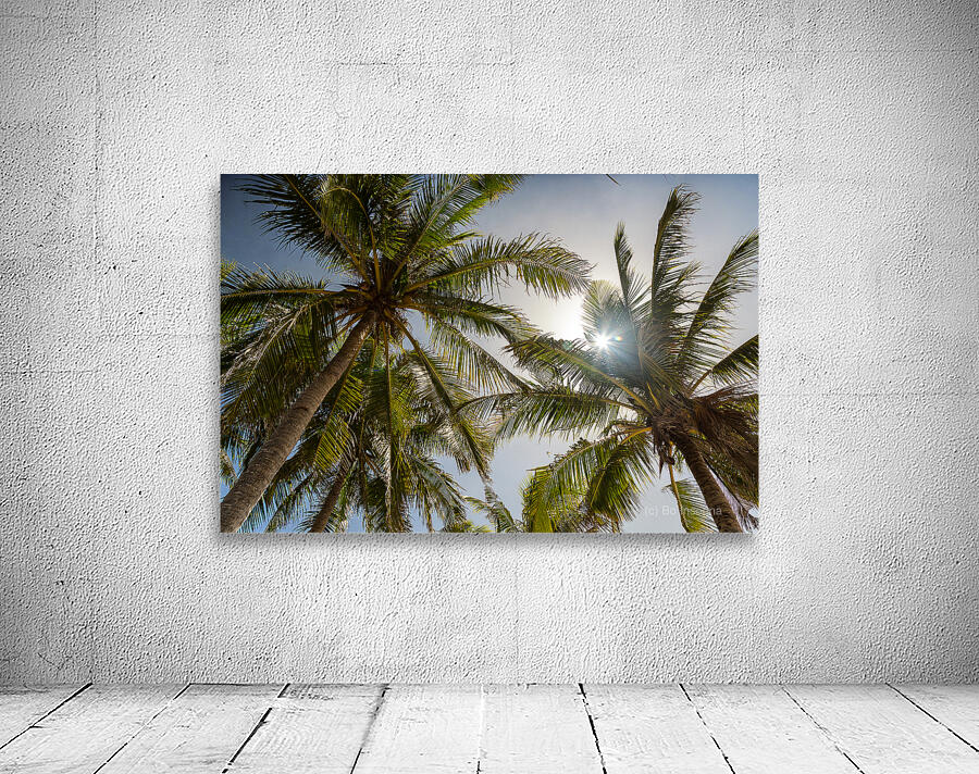 Tropical Sun Wall Preview